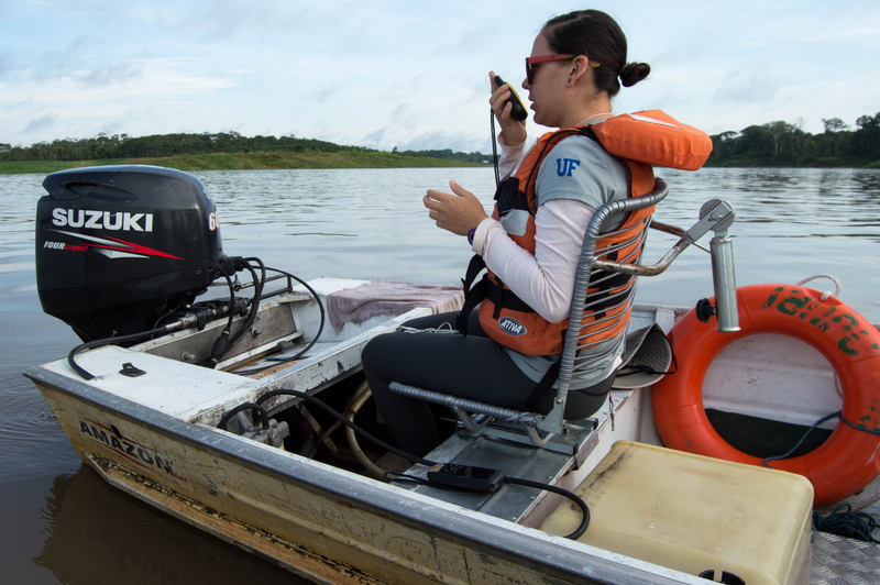Hilda Pérez, who has tracked Helena the manatee on her journey, undertaking field work in the Amazon in November. Photo: Sophie Yeo